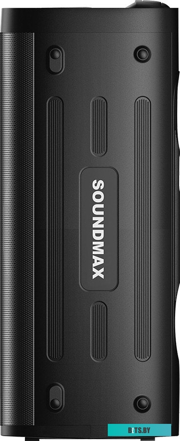 Портативная аудиосистема Soundmax SM-MS4305 черный