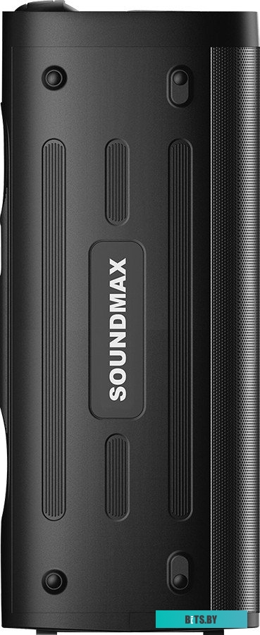 Портативная аудиосистема Soundmax SM-MS4305 черный