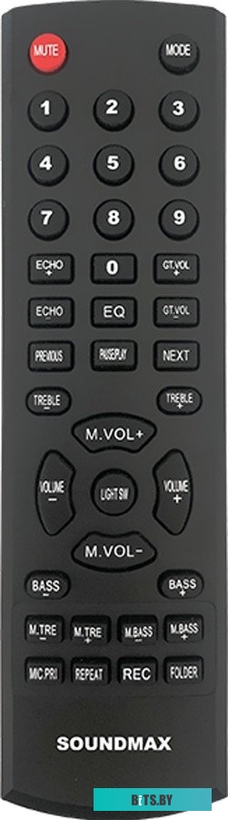 Портативная аудиосистема Soundmax SM-MS4305 черный