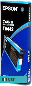 Картридж Epson C13T54X200 C13T54X200