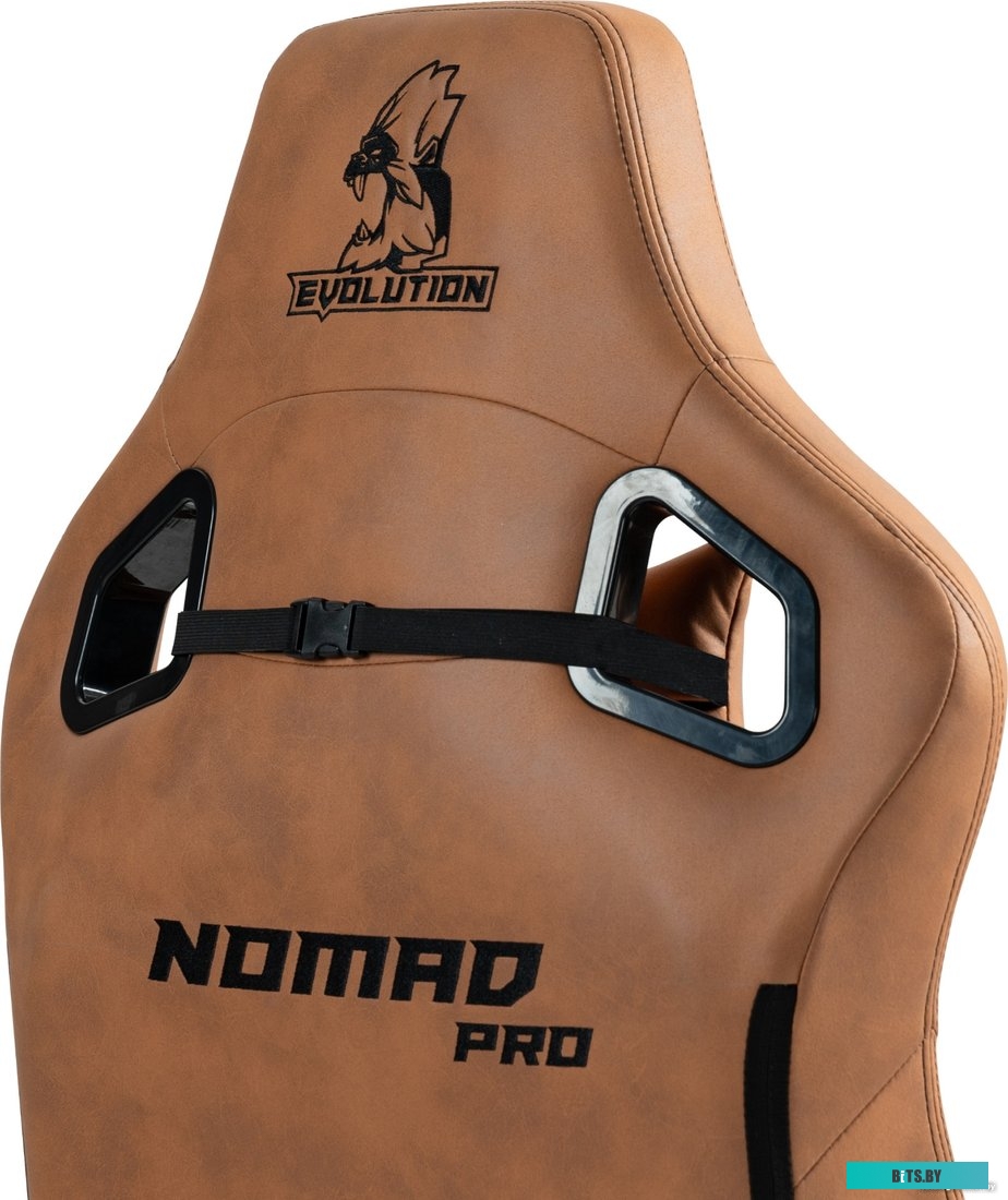 42343 4812755007304 Evolution Nomad PRO (коричневый)