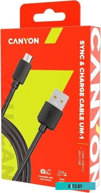 Кабель Canyon CNE-USBM1B
