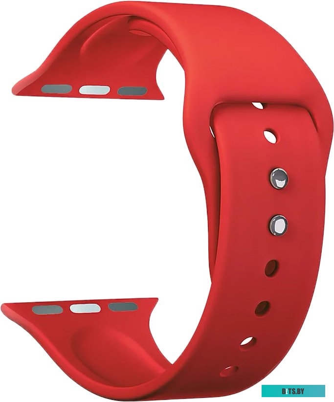 Ремешок Lyambda Altair для Apple Watch 38-40 мм (S/M и M/L, красный) <DS-APS08-40-RD>