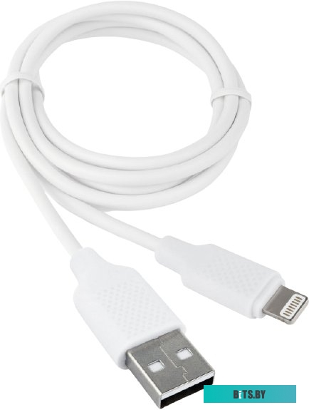 Кабель Gembird CCB-USB-AMAPO2-1MW