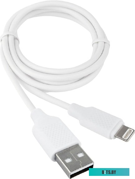 Кабель Gembird CCB-USB-AMAPO2-1MW