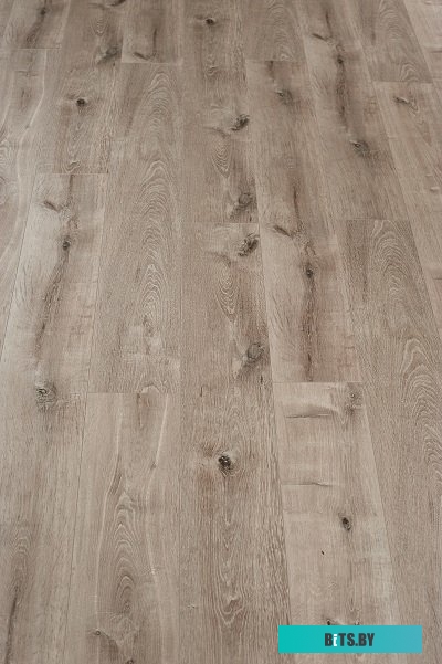 Розетка телевизионная Legrand Valena 774429
