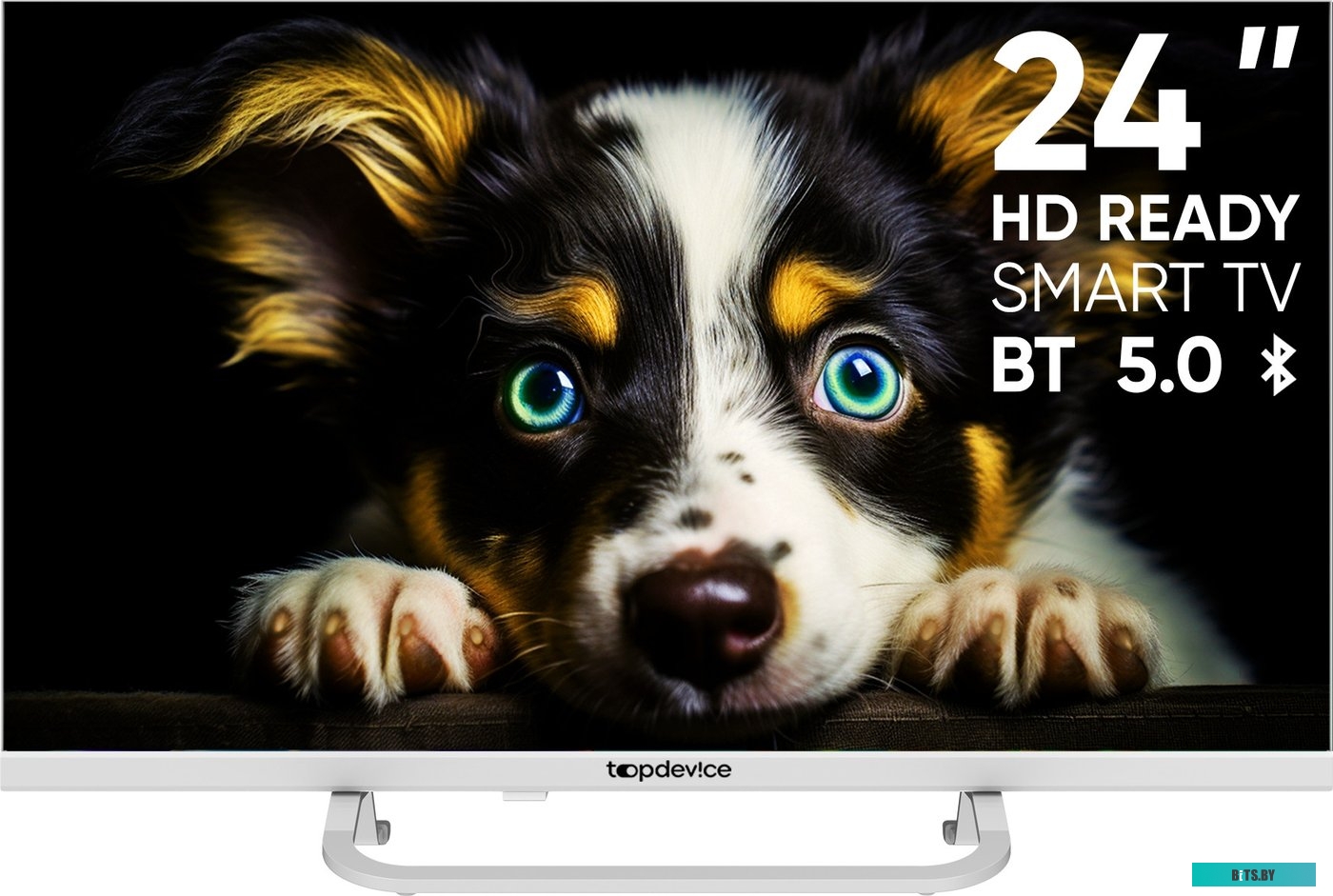 TDTV24CS04HWE Телевизор Topdevice TDTV24CS04HWE