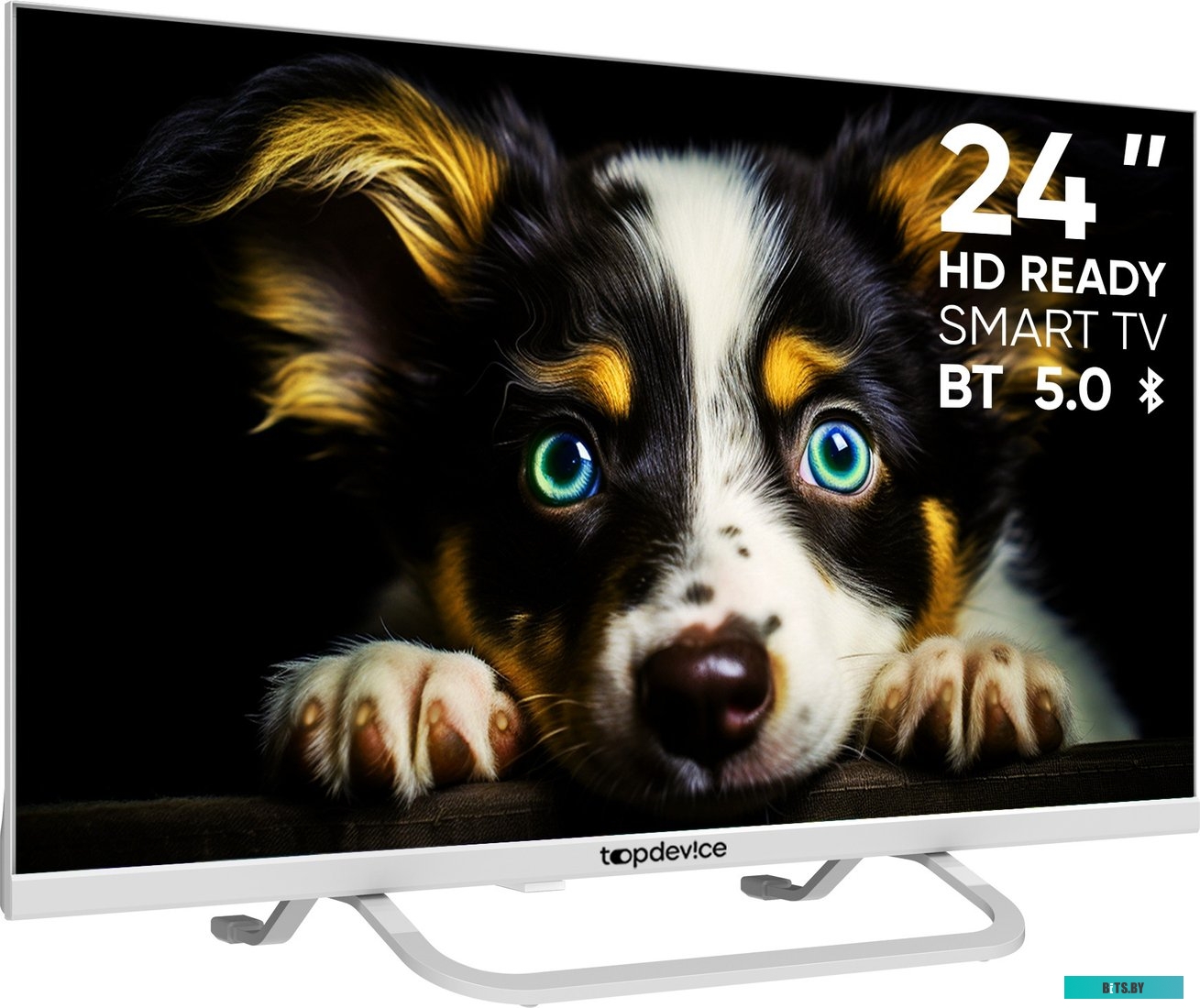 TDTV24CS04HWE Телевизор Topdevice TDTV24CS04HWE