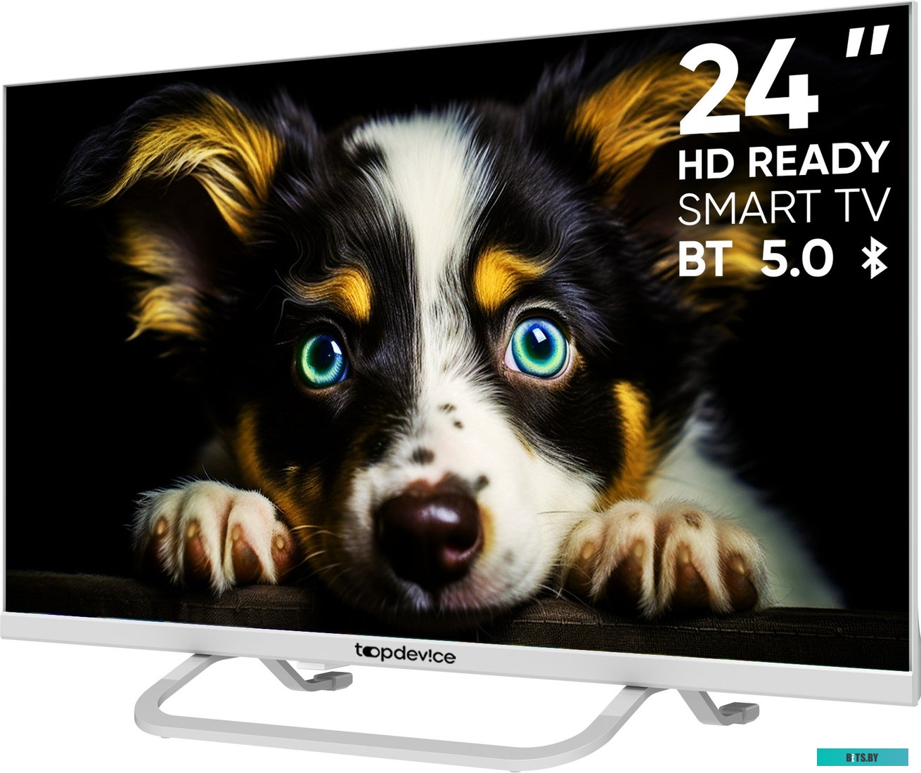 TDTV24CS04HWE Телевизор Topdevice TDTV24CS04HWE