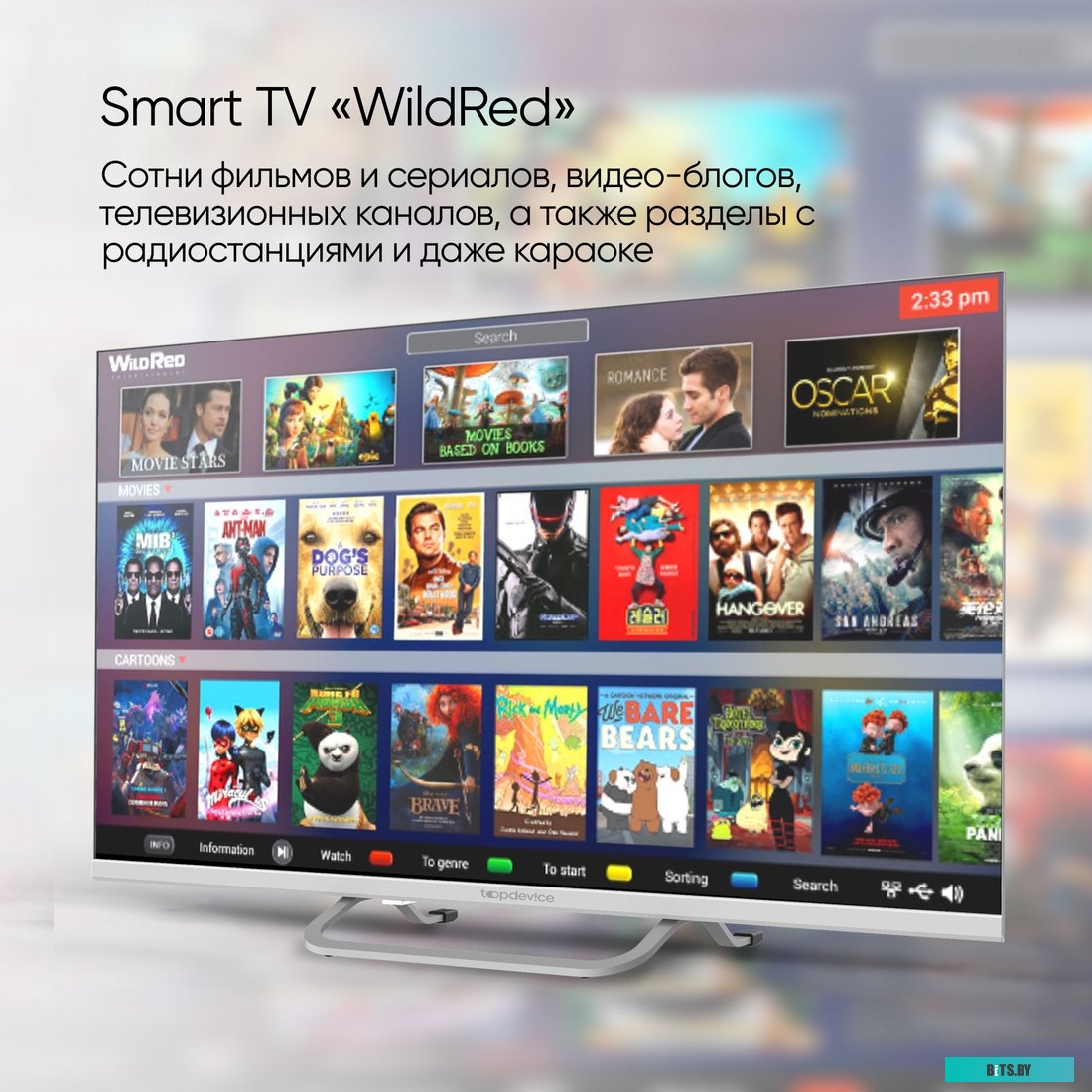 TDTV24CS04HWE Телевизор Topdevice TDTV24CS04HWE