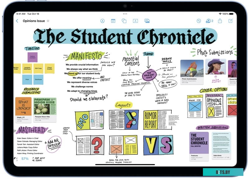 019125 Сковорода Polaris Canto 26F, 26см, без крышки,  серый [019125]