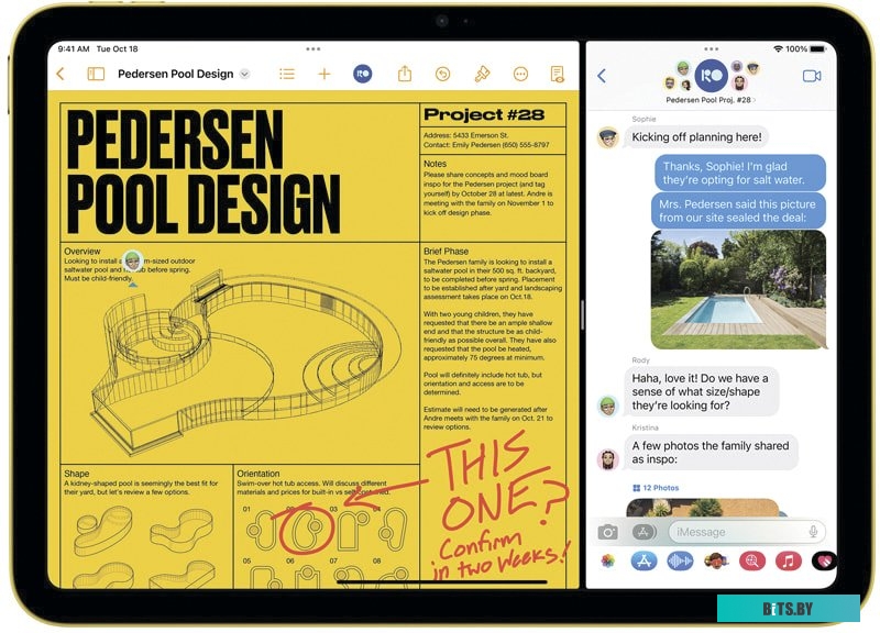 019125 Сковорода Polaris Canto 26F, 26см, без крышки,  серый [019125]