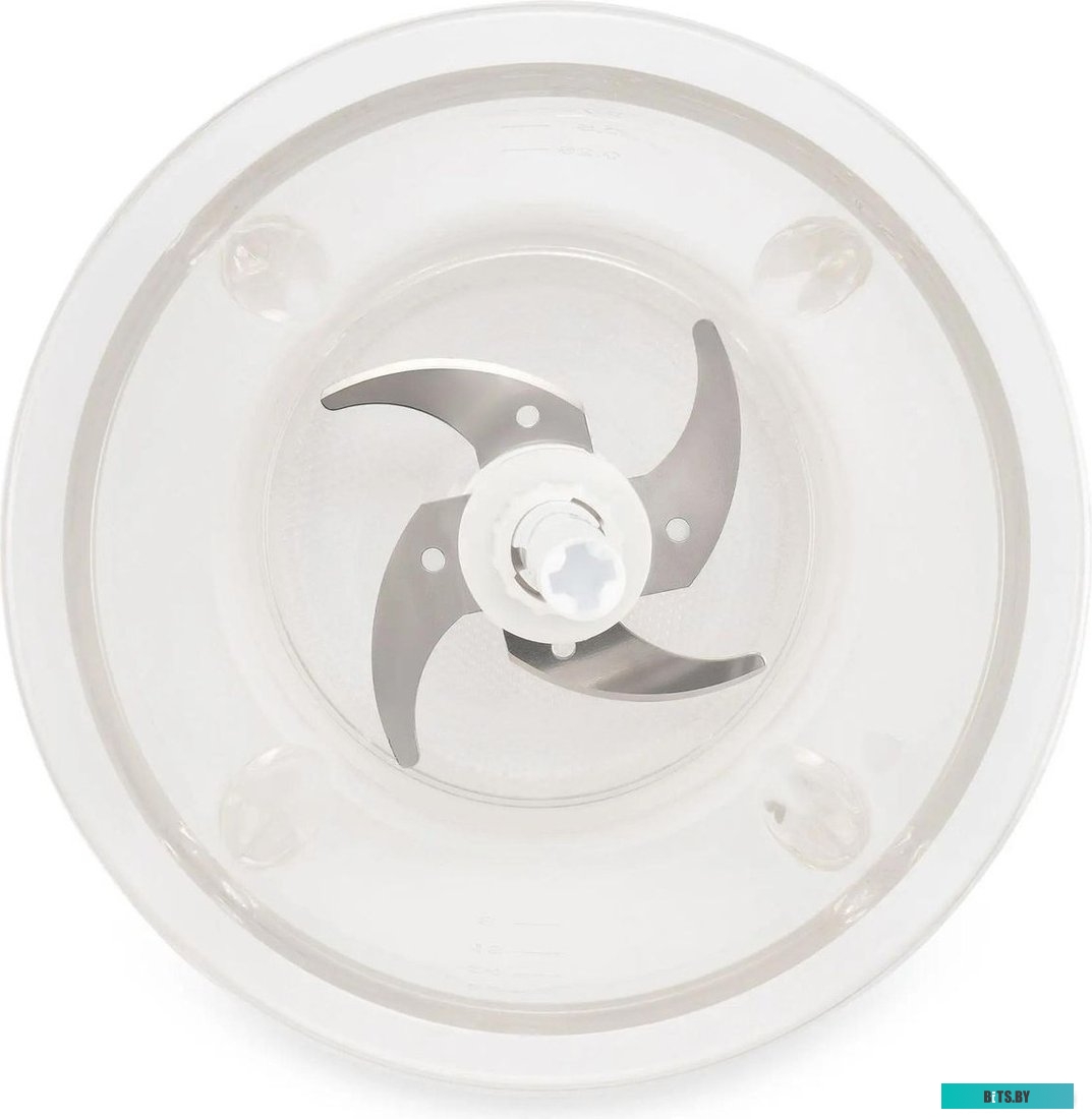 SCG2011 Измельчитель электрический Starwind SCG2011 1л. 300Вт белый/бирюзовый