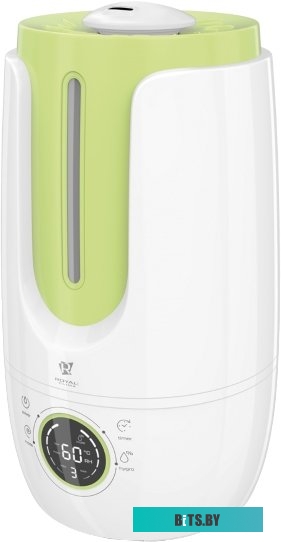 Увлажнитель воздуха Royal Clima Antica RUH-AN300/4.0E-GN