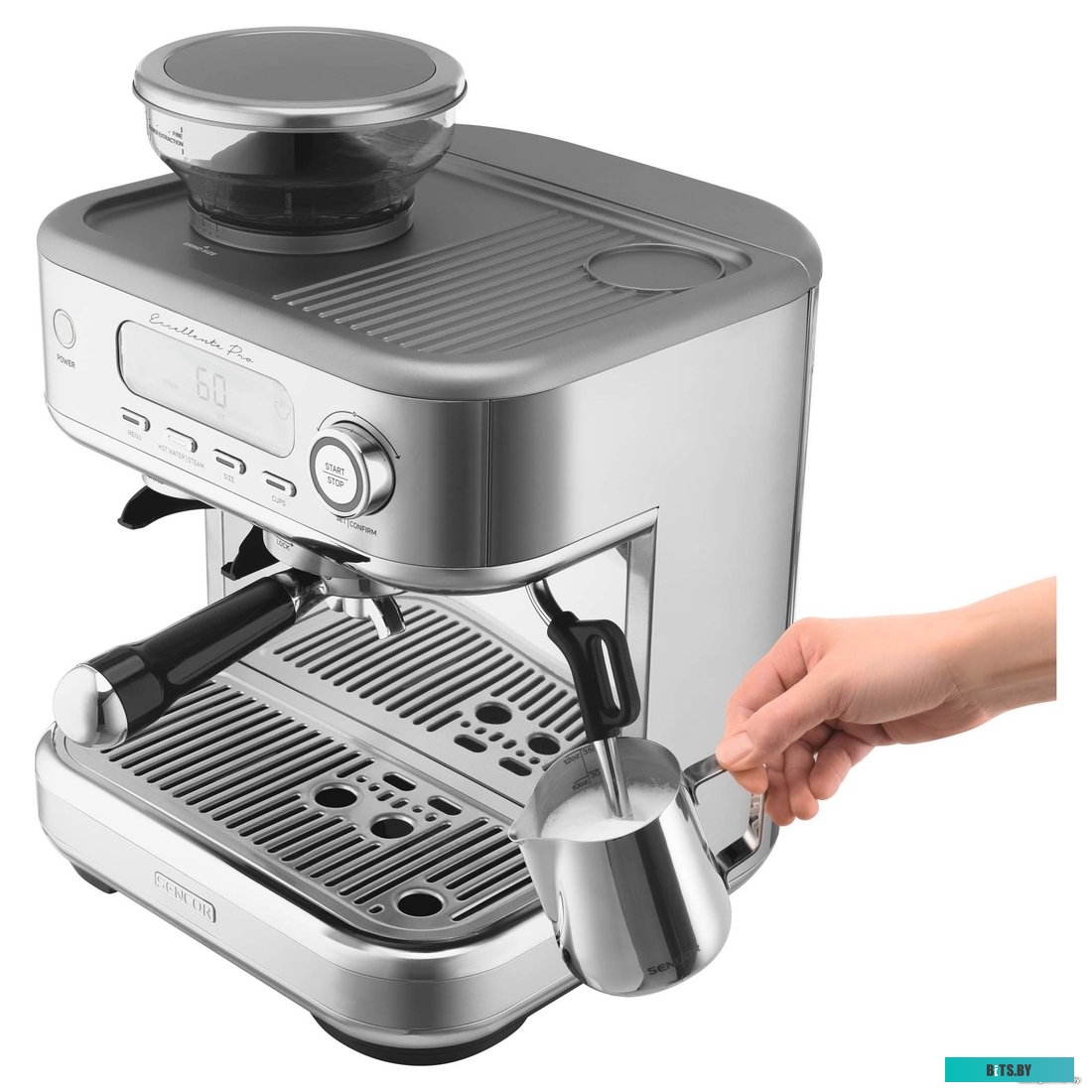 Электрическая кофемолка Sencor SCG 6050SS