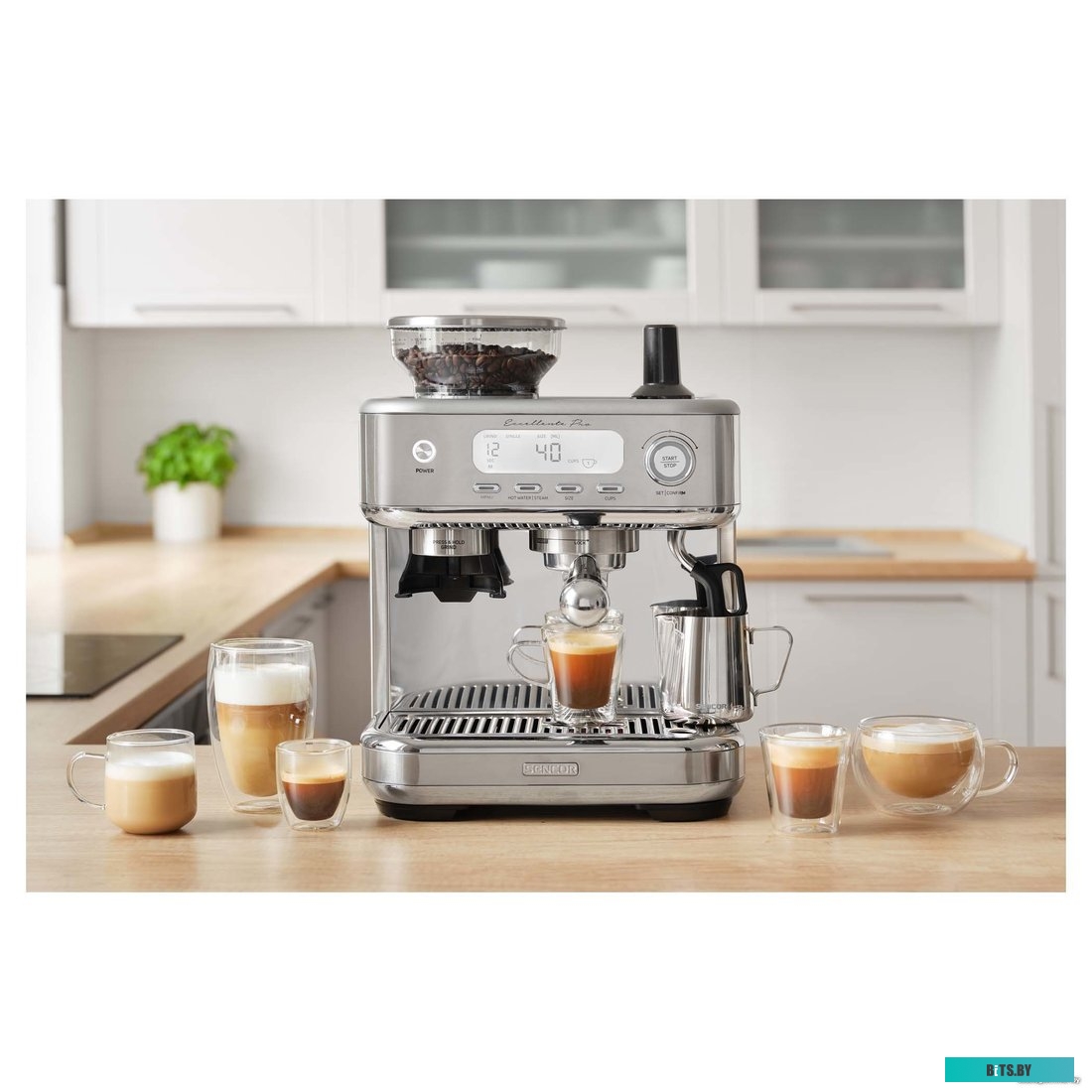 Электрическая кофемолка Sencor SCG 6050SS