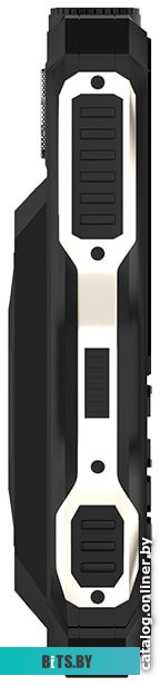 Мобильный телефон Maxvi P100 (черный)
