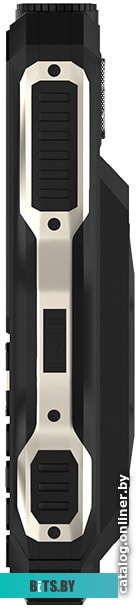 Мобильный телефон Maxvi P100 (черный)