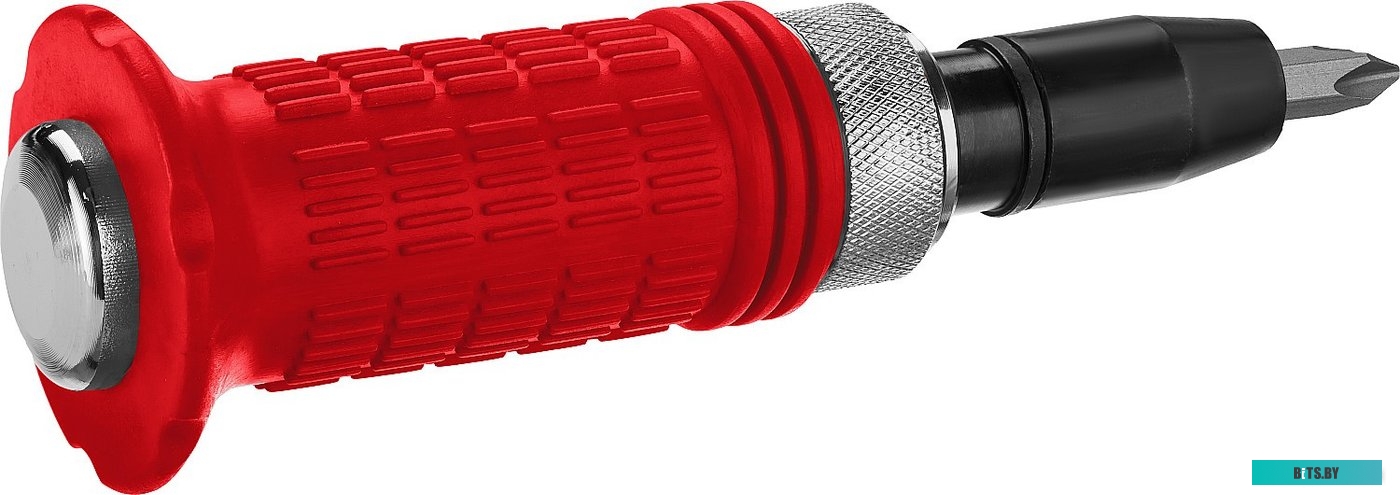 Зубр 2565 (6 предметов)