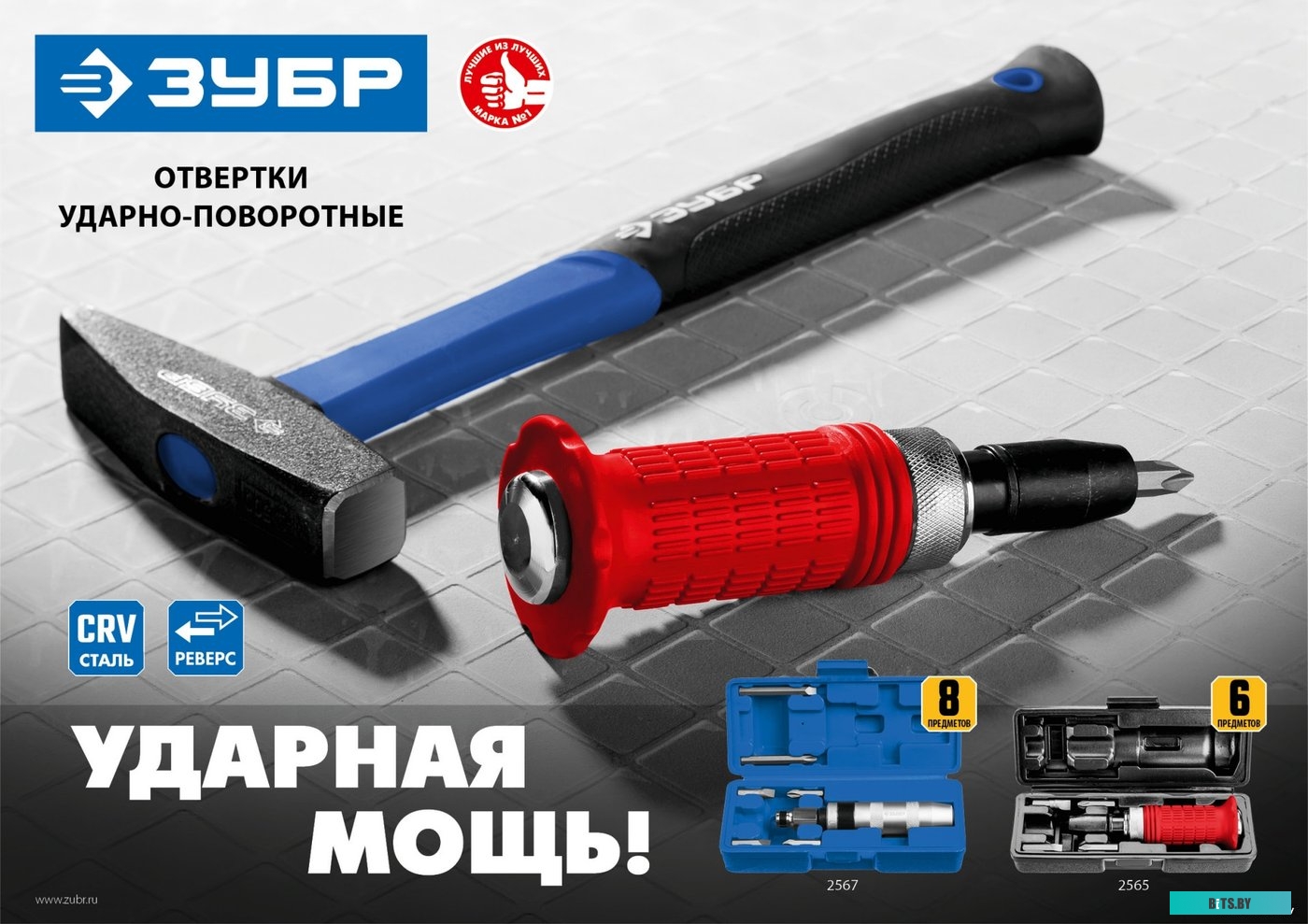 Зубр 2565 (6 предметов)