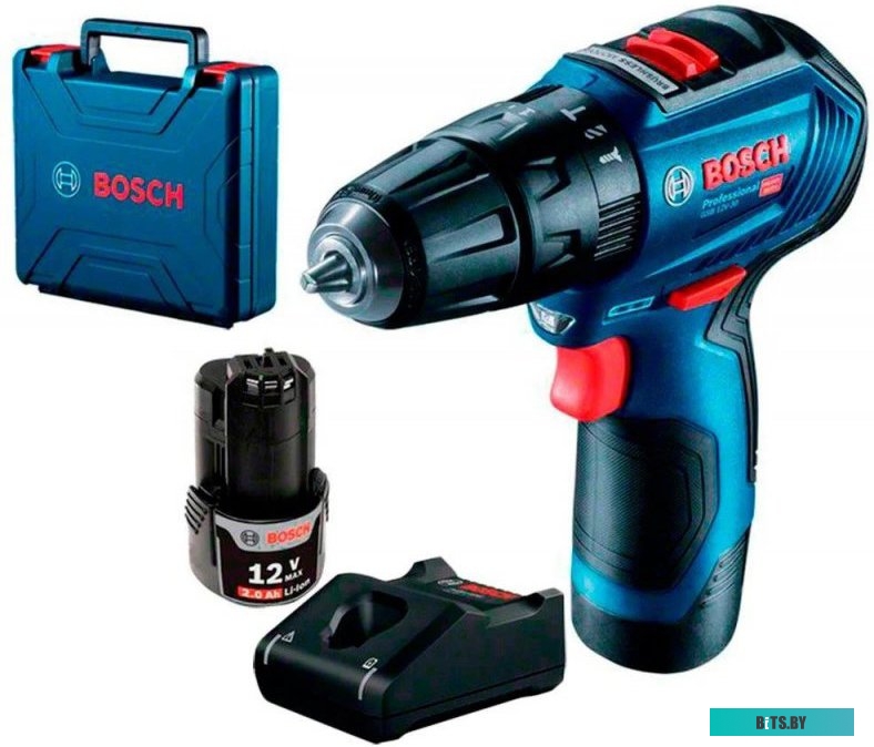 Ударная дрель-шуруповерт Bosch GSB 12V-30 Professional 06019G9100 (с 2-мя АКБ, кейс) <0 601 9G9 100>