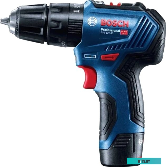 Ударная дрель-шуруповерт Bosch GSB 12V-30 Professional 06019G9100 (с 2-мя АКБ, кейс) <0 601 9G9 100>