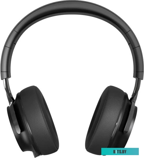 Наушники TFN Bloom (черный) <TFN-HS-BT450BK>