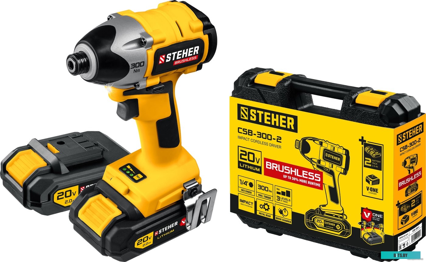Steher CSB-300-2 (с 2-мя АКБ, кейс)