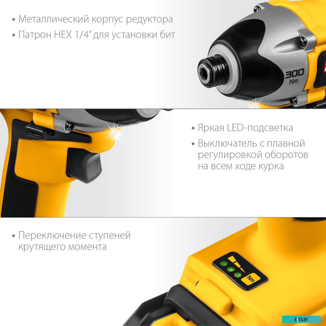 Steher CSB-300-2 (с 2-мя АКБ, кейс)