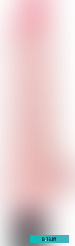 B-W6027 Холодильник B-W6027 BIRYUSA