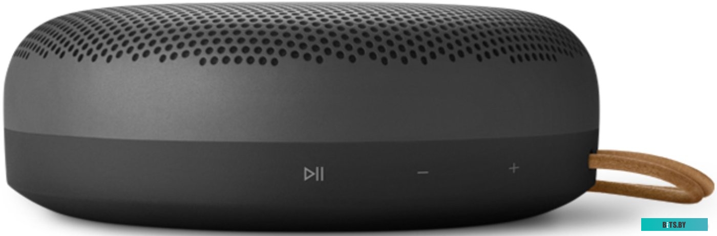 Bang & Olufsen Beosound A1 2nd Gen (черный антрацит)
