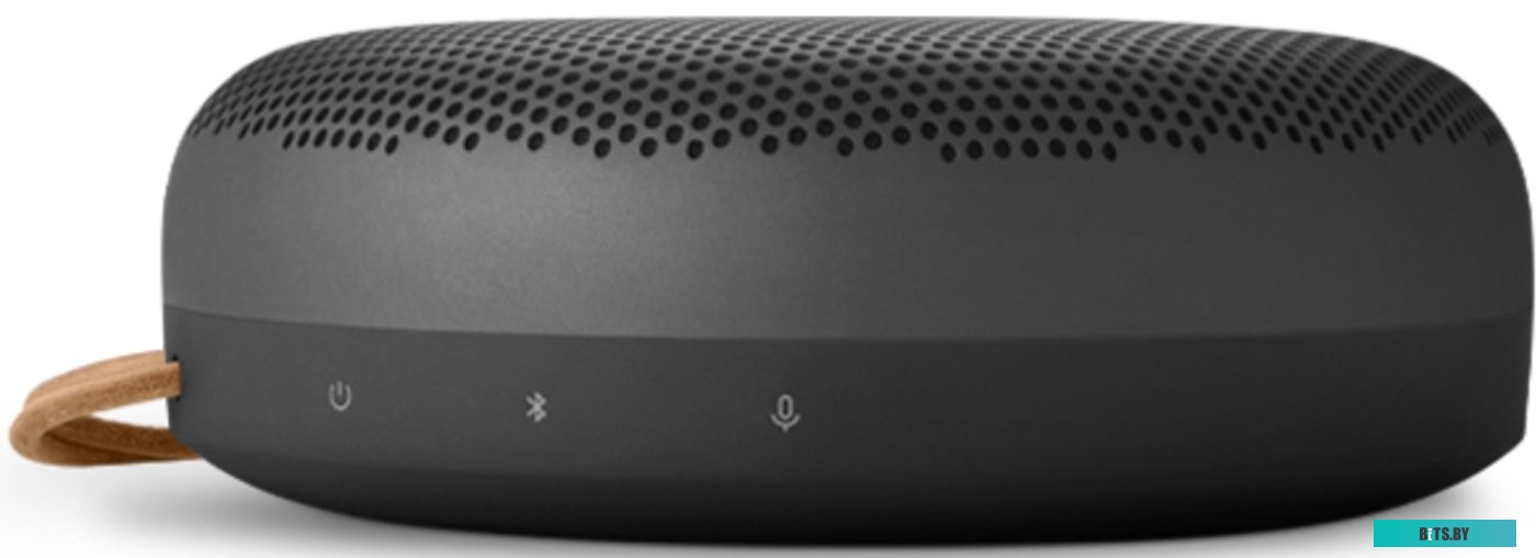 Bang & Olufsen Beosound A1 2nd Gen (черный антрацит)