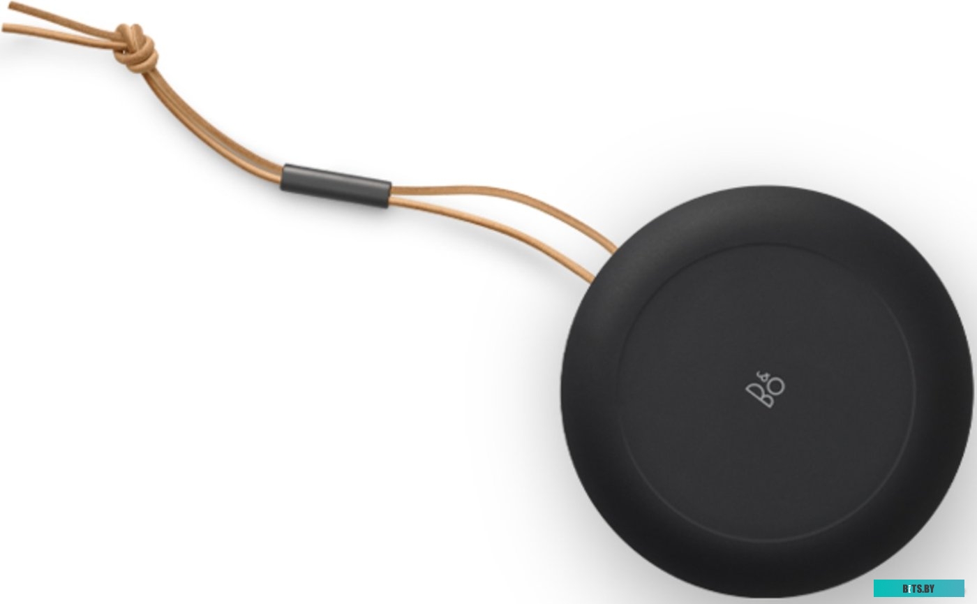 Bang & Olufsen Beosound A1 2nd Gen (черный антрацит)