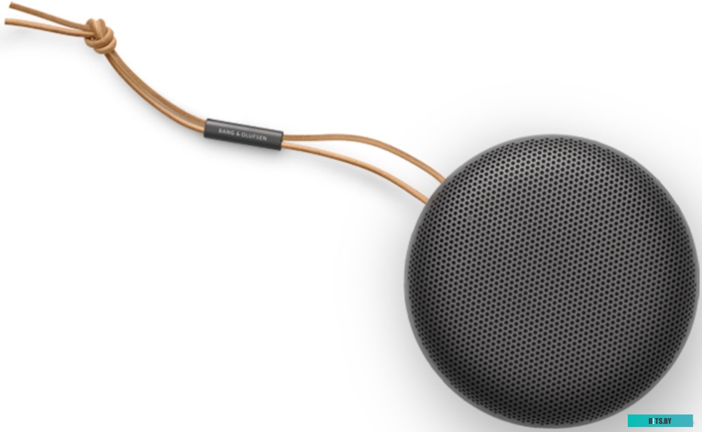 Bang & Olufsen Beosound A1 2nd Gen (черный антрацит)