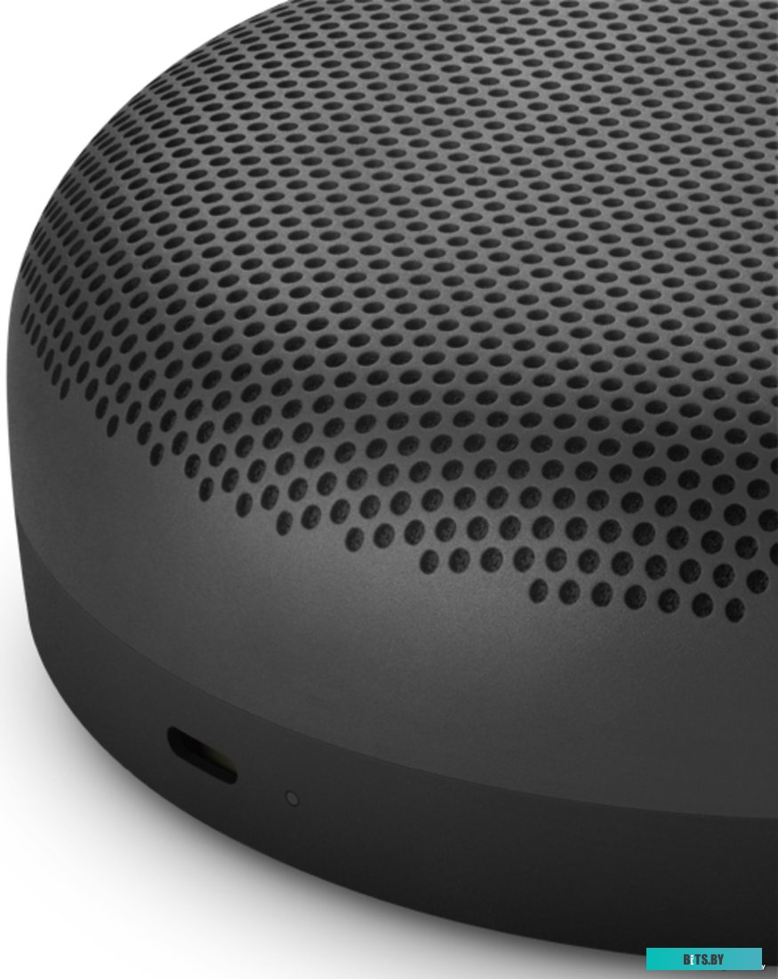 Bang & Olufsen Beosound A1 2nd Gen (черный антрацит)
