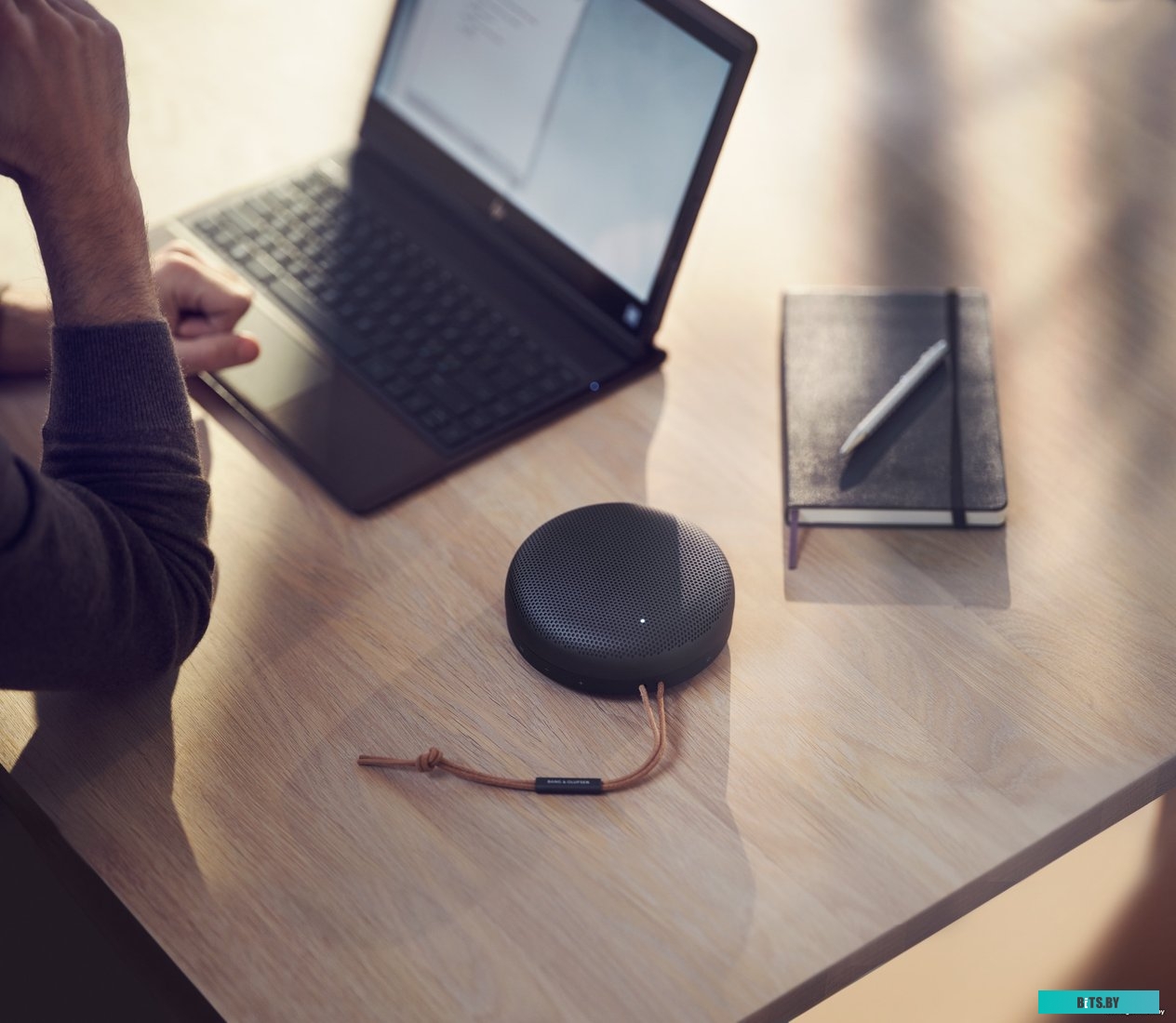 Bang & Olufsen Beosound A1 2nd Gen (черный антрацит)