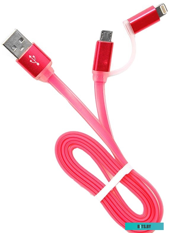 Кабель Cablexpert CC-mAPUSB2pk1m