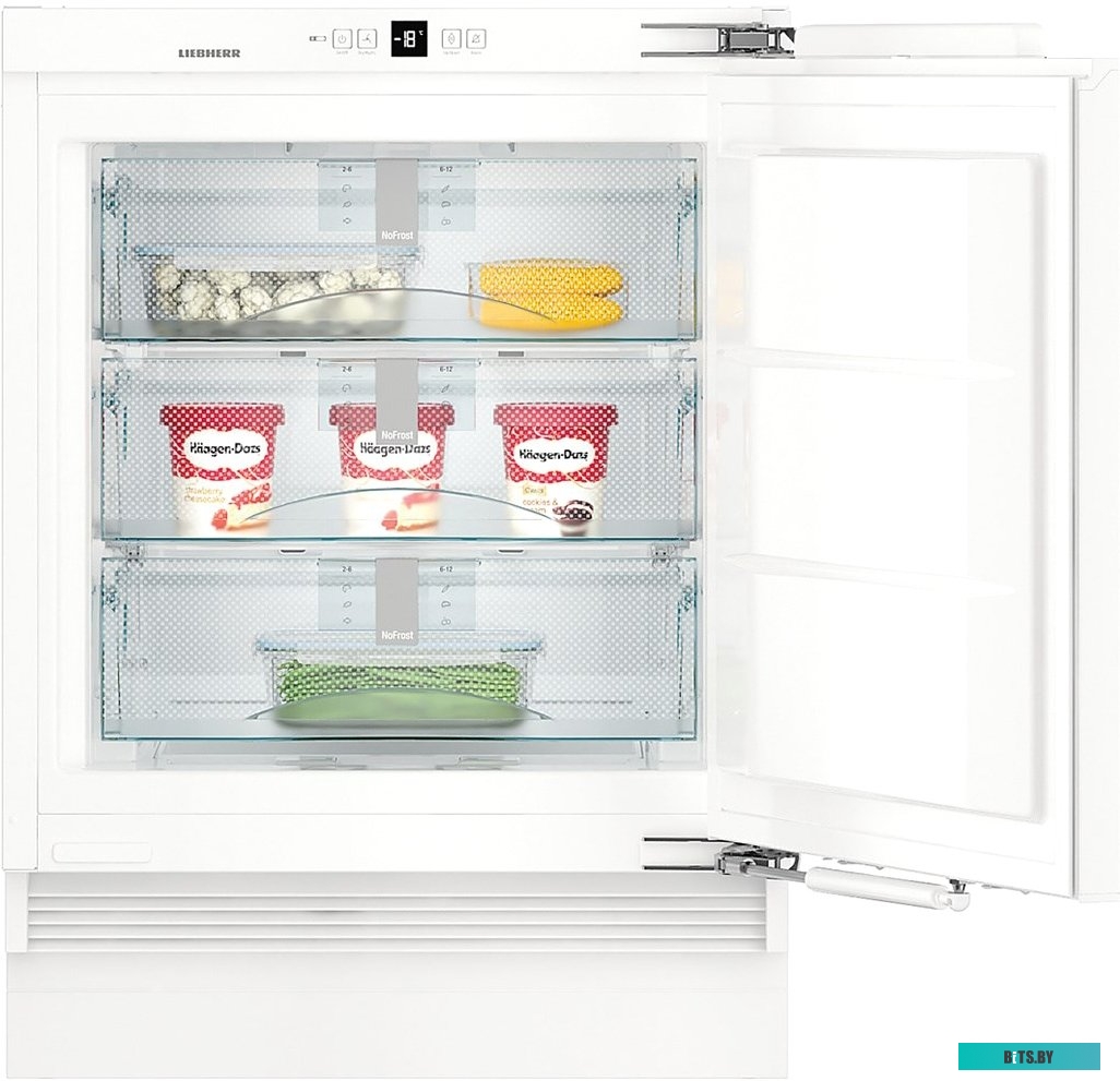 Denzel CSL-3.6-01 (с АКБ)