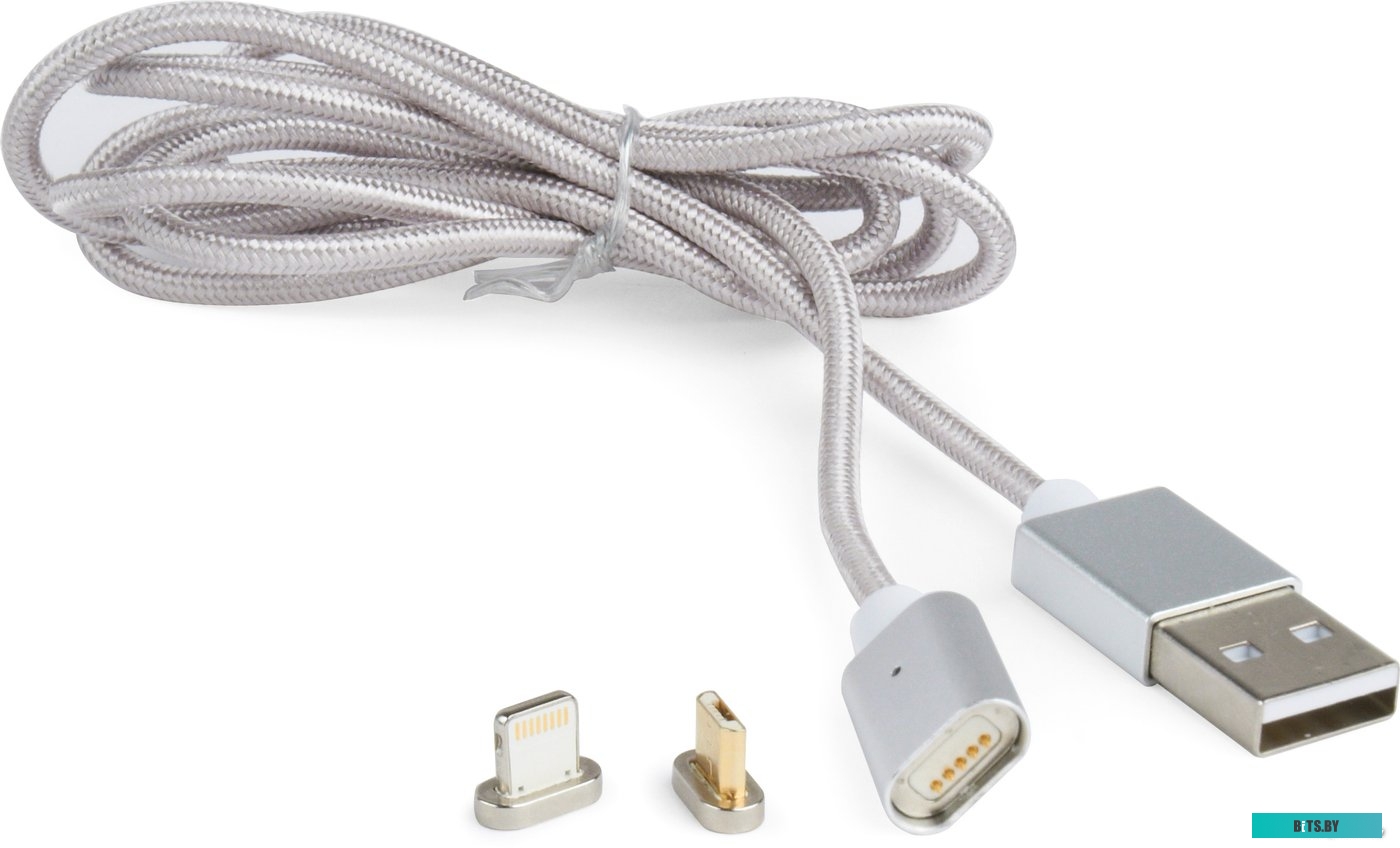 Кабель Cablexpert CC-USB2-AMLM3-1M
