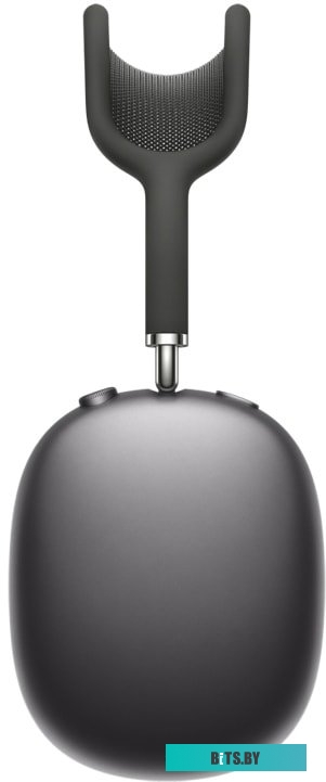 Наушники (Гарнитура) Apple AirPods Max (серый космос) <MGYH3RU/A>