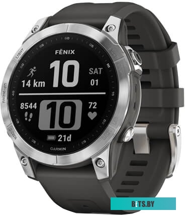 Умные часы Garmin Fenix 7 Solar 47 мм (серебристый/графитовый) <010-02540-01>
