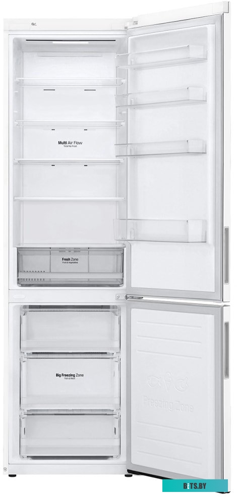 LG DoorCooling+ GA-B509CQWL