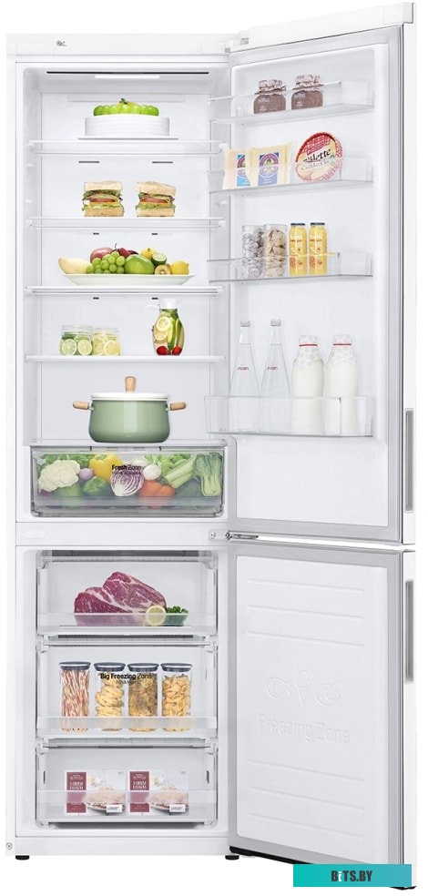 LG DoorCooling+ GA-B509CQWL