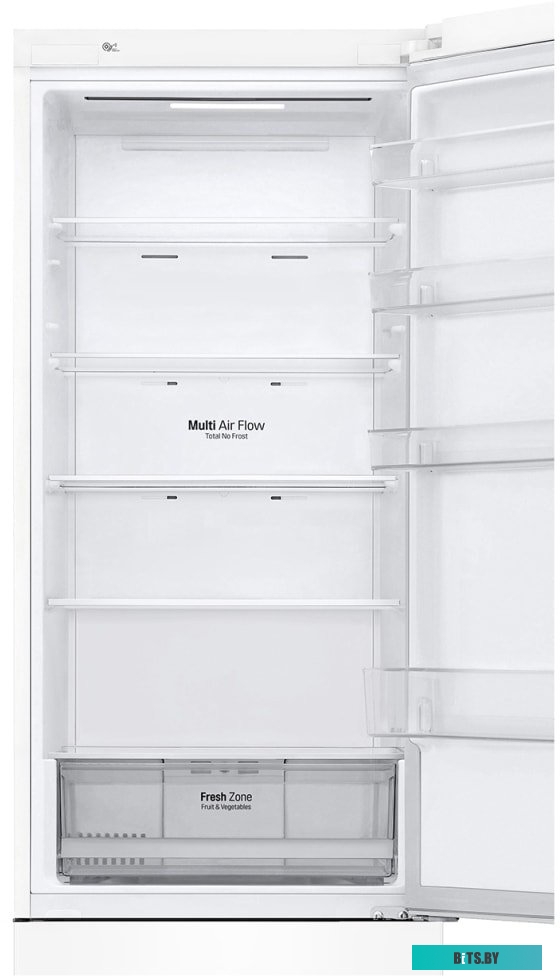 LG DoorCooling+ GA-B509CQWL