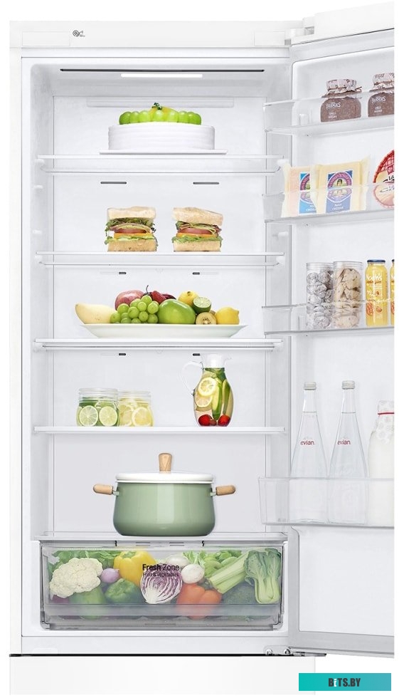 LG DoorCooling+ GA-B509CQWL