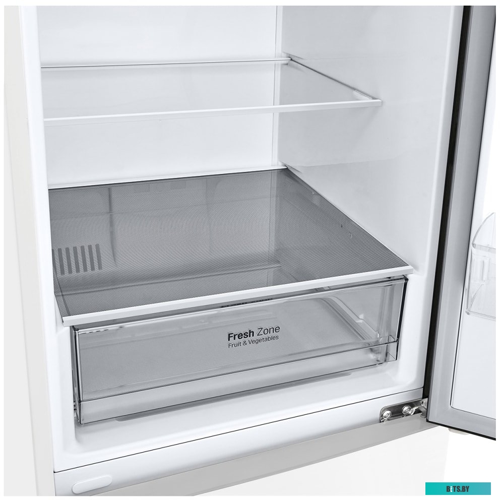 LG DoorCooling+ GA-B509CQWL