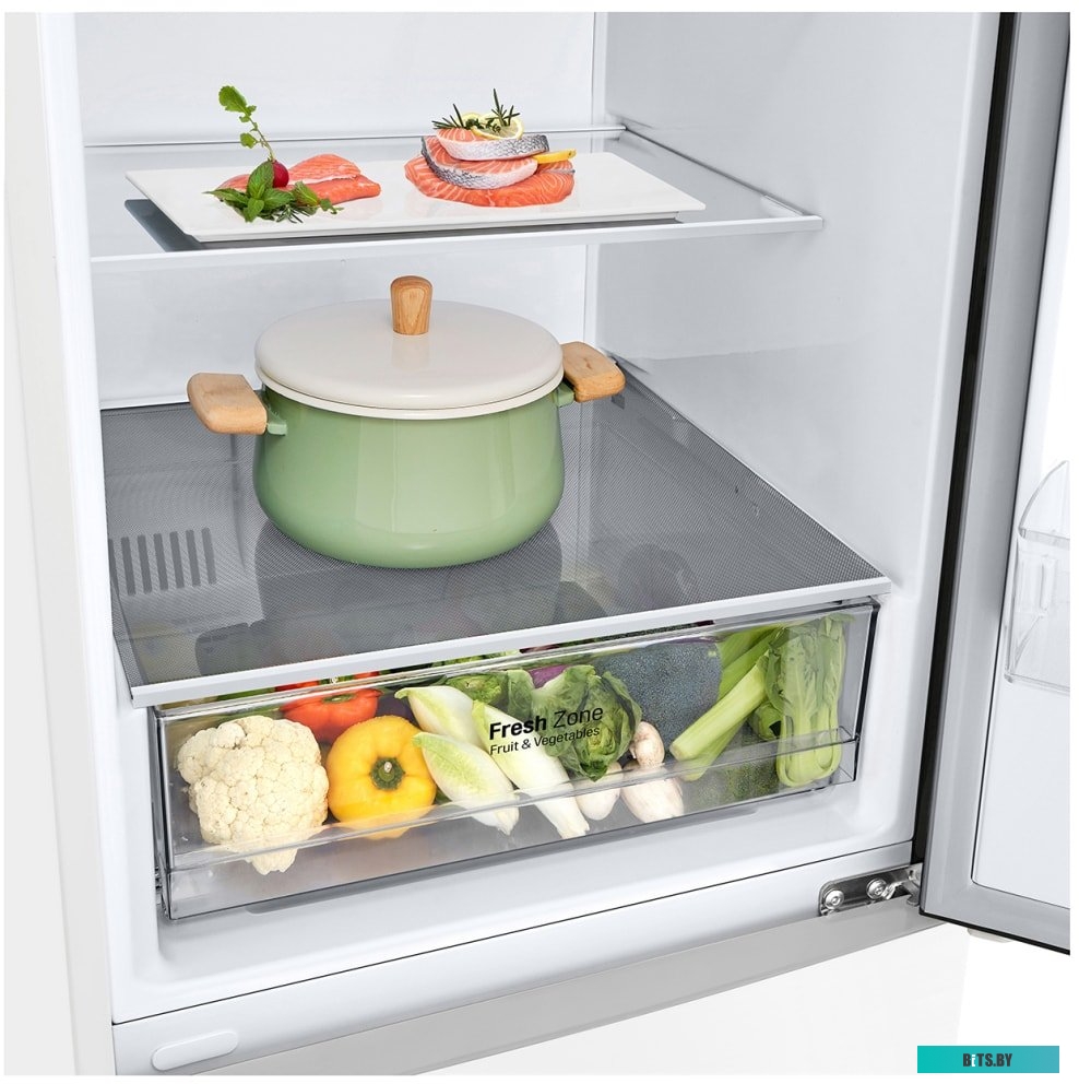 LG DoorCooling+ GA-B509CQWL