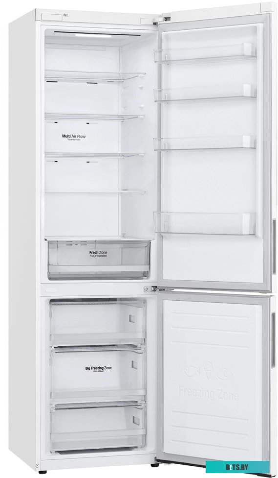 LG DoorCooling+ GA-B509CQWL