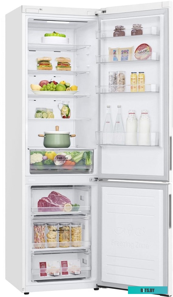 LG DoorCooling+ GA-B509CQWL