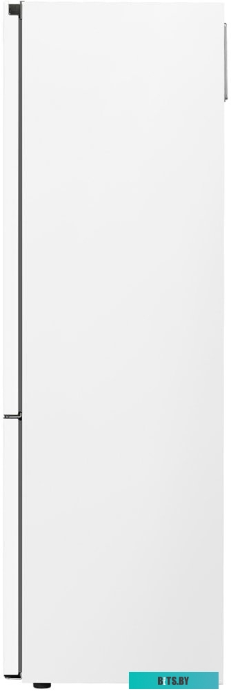 LG DoorCooling+ GA-B509CQWL